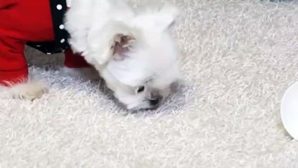 양구출장안마 -후불100%ョØ1ØZ7467Z4367｛카톡MAS91｝ 양구전지역출장안마 양구오피걸 양구출장마사지 양구안마 양구출장마사지 양구콜걸샵∤≄∴