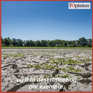 Quatre éléments clés à retenir du rapport du Giec sur les sols