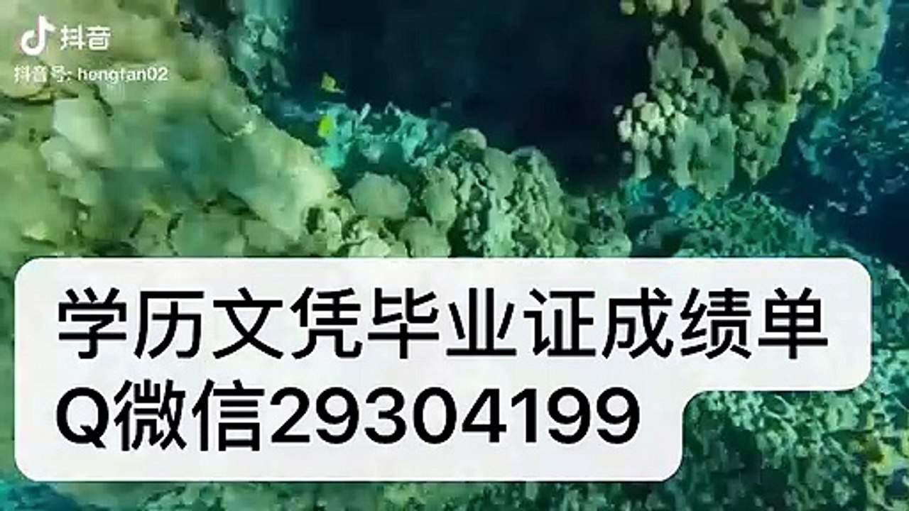 【留学生文凭学历认证Q/微信29304199】密苏里大学哥伦比亚分校毕业证成绩单公证 MIZZOU毕业证成绩单Diploma公证雅思成绩单offer,在读证明/留信认证/使馆认证/University of Missouri Columbia
