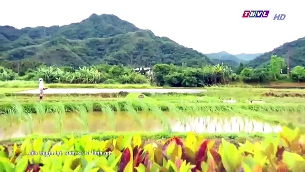 Đại Thời Đại Tập 132 - đại thời đại tập 133 - Phim Đài Loan - THVL1 Lồng Tiếng - Phim Dai Thoi Dai Tap 132