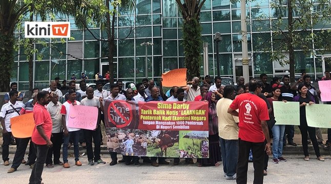 Pekerja berdemo bantah arahan pindah ternakan dari ladang