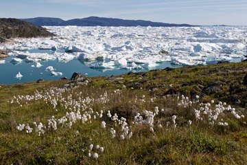 Crisis ambiental: Gigantesco deshielo en Groenlandia