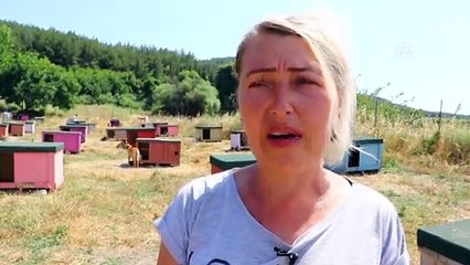 Hasta ve yaşlı köpeklerin gönüllü bakıcısı - TEKİRDAĞ