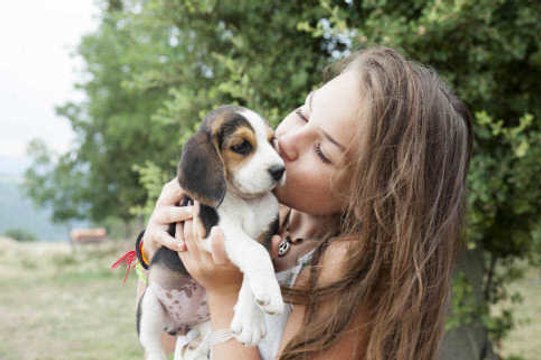 6 alimentos prohibidos para perros y gatos