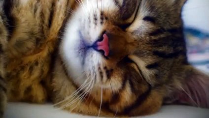 경남출장안마 -후불100%ョOiON6622N4421｛카톡EM85｝ 경남전지역출장안마 경남오피걸 경남출장마사지 경남출장안마 경남출장마사지 경남출장콜걸샵안마 경남출장아로마 ㍎∉れ