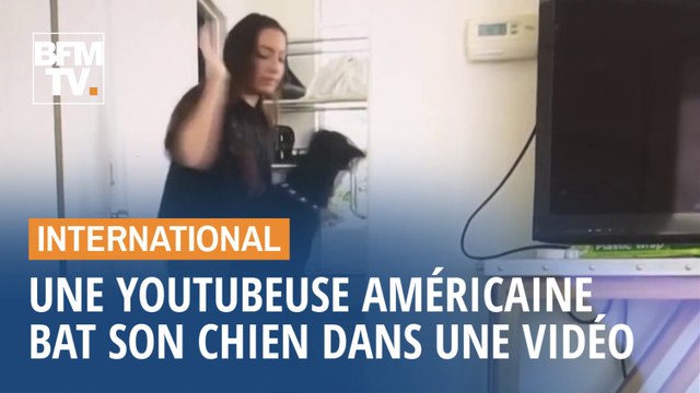 Cette youtubeuse américaine publie (par erreur) une vidéo où elle bat son chien