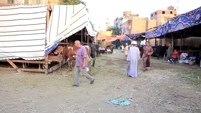 Mısır'da Kurban Bayramı hazırlıkları