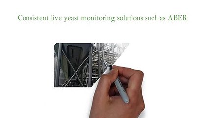 Effective Yeast Management in Singapore