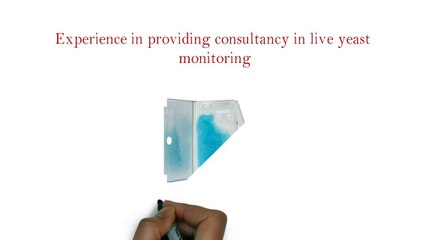 Yeast Cell Counting in Singapore