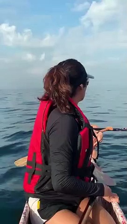 Cette fille voit une baleine surgir à seulement quelques mètres d'elle
