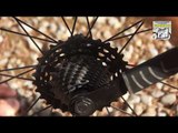 Test de la Cassette Rotor Uno