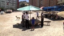 Hayvan pazarında polisten 