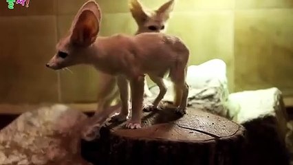 서울출장안마 -후불100%ョØ1ØZ7467Z4367｛카톡XI74｝ 서울전지역출장안마 서울오피걸 서울출장마사지 서울출장안마 서울출장마사지 서울출장콜걸샵안마 서울출장아로마 ◤ひ≖