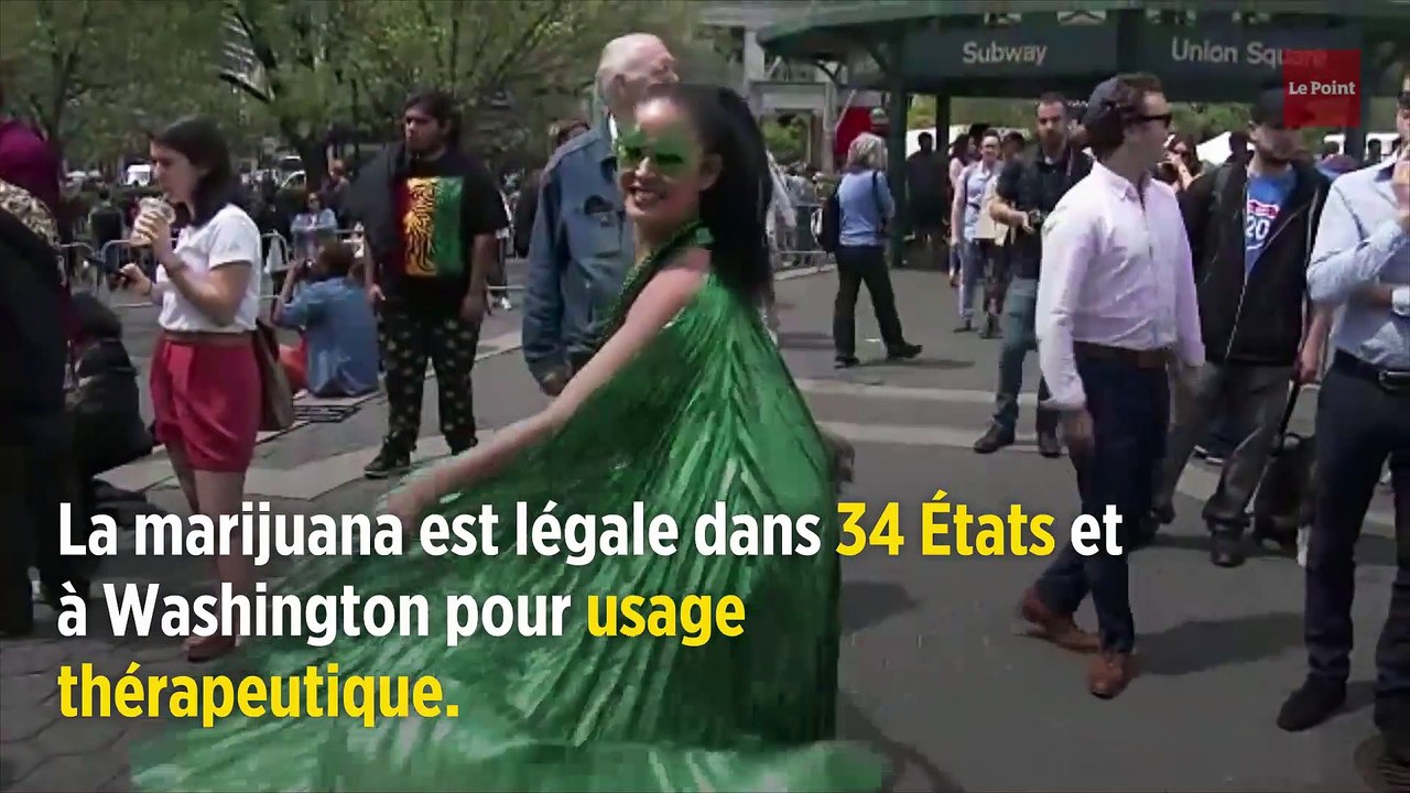 États-Unis : la légalisation du cannabis fait-elle baisser la consommation d'opiacés ?