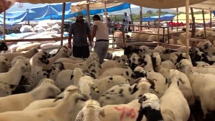 MERSİN Kurbanlık satıcılarına sahte para uyarısı