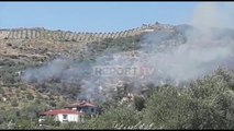 Report TV - Zjarri përfshin dy fshatra në Cakran, dëmtohen ullishtet