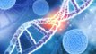 Pruebas genéticas podrían evitar obtener seguro médico