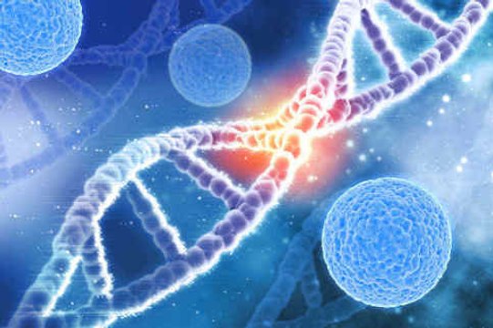 Pruebas genéticas podrían evitar obtener seguro médico