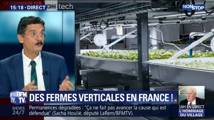 Les fermes verticales arrivent en France !