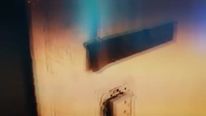 Dura batalla contra el tráfico ilícito de marihuana