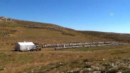 2 bin 400 rakımda bal sağımı