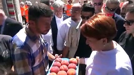 Akşener, Kaz Dağları'nda Erdoğan'a seslendi: Gel şurayı gör