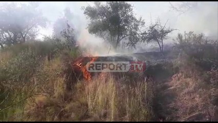 Report TV - Pamje nga zjarri në Cakran