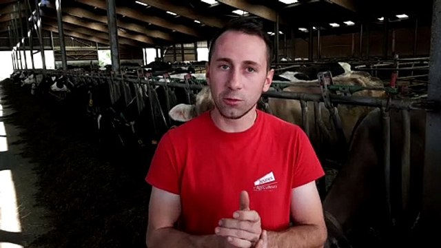 Fleisheim : portes ouvertes et concours de labours au Gaec des Terres Noires