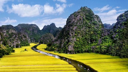 Thiên nhiên Việt Nam -08/08/2019