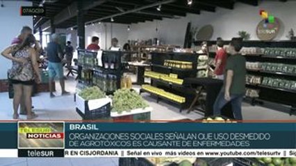 Brasil: crece preocupación por los 290 pesticidas aprobados este año
