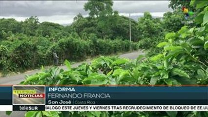 Download Video: teleSUR Noticias: Delegación de Gob. venezolano no viajará a Barbados