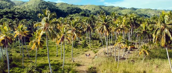 A 47 METROS 2 - Tráiler Español HD [1080p]