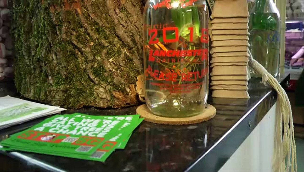 Find Your Local Environmentally Friendly Store!