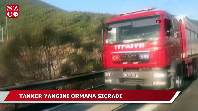 Bariyerlere çarpan tanker yandı, alevler ormanlık alana sıçradı