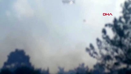 MUĞLA'da orman yangını