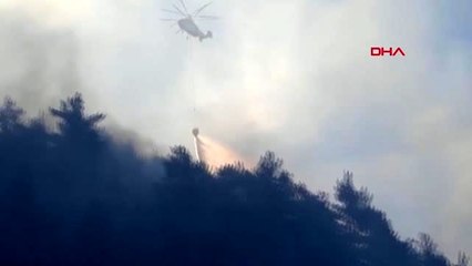 MUĞLA'da orman yangını-2