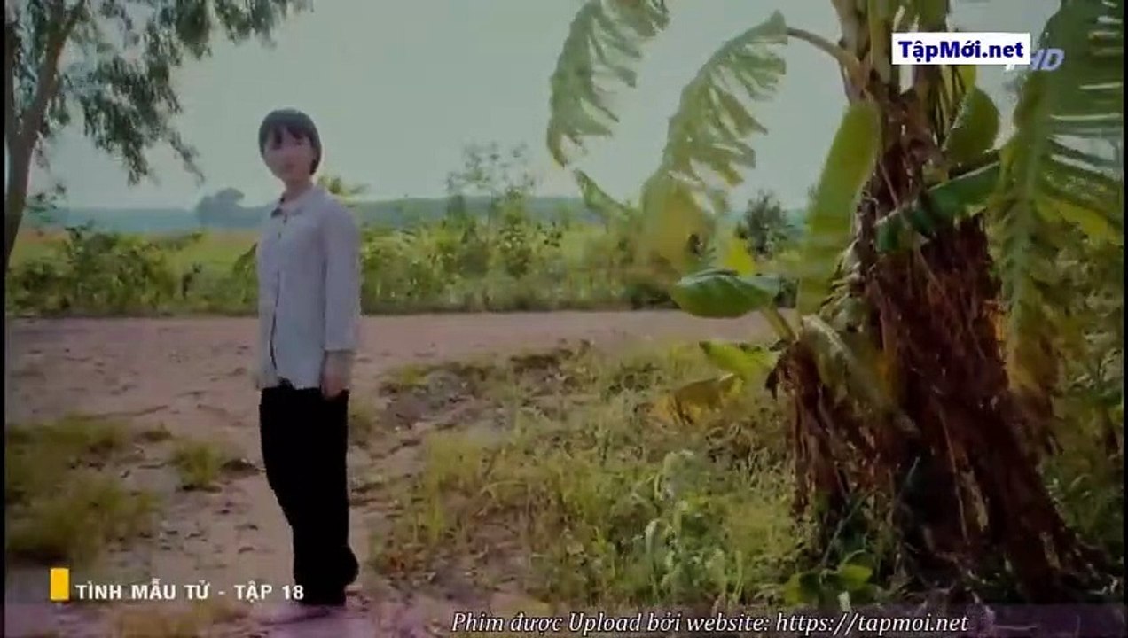 Tình Mẫu Tử Tập 18 - Phim Việt Nam THVL1 2019