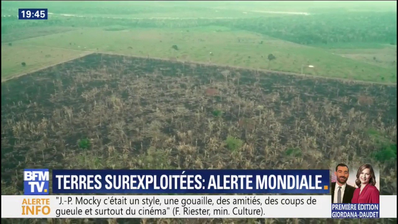 Surproduction, gaspillage, déforestation... Le GIEC alerte sur la nécessité de repenser notre agriculture et notre alimentation