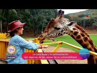 Descargar video: Ana Alicia visitó una reserva que protege a diversas especies animales | Sale el Sol