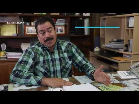 Ácido sulfúrico en la bahía de Guaymas afecta a la cadena alimenticia