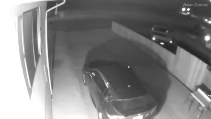 the Elf-like creature found on security footae