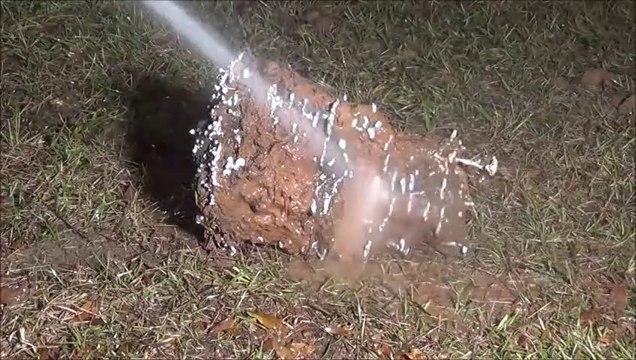 Il coule de l'aluminium en fusion dans une fourmilière et obtient une oeuvre d'art