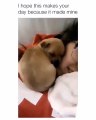 Ce chiot est très attaché à sa maman. Regardez ce qu'il fait !