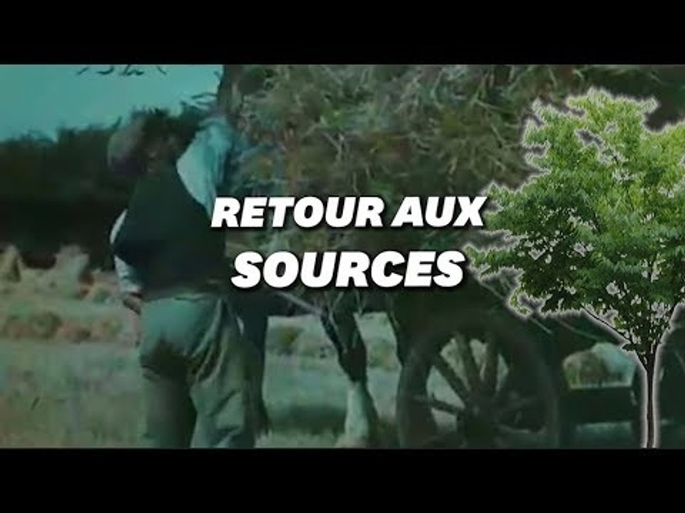 Les experts ressuscitent les remèdes de grand-mère pour sauver l'agriculture