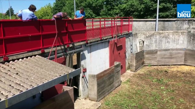 Feria de Dax : les toros arrivent aux arènes après une longue route
