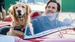 Milo Ventimiglia tells fans what's in store for Jack on 'This Is Us,' talks 'The Art of Racing in the Rain'