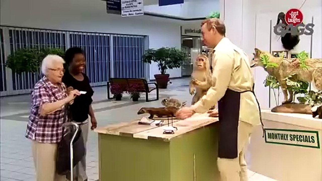 Human Taxidermy