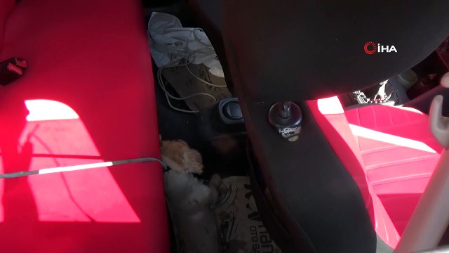 Düzce’de otomobil içine bırakılan köpek sıcaktan ve bağlı olduğu ipe dolanıp öldü