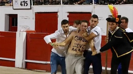 Bullfighting returns to Mallorca, despite protests