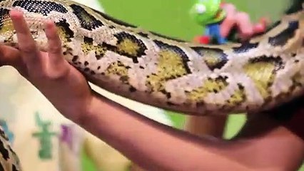 성서출장안마 -후불100%ョOiON6622N4421｛카톡XN94｝ 성서전지역출장안마 성서오피걸 성서출장마사지 성서출장안마 성서출장마사지 성서출장콜걸샵안마㌡⻪≨